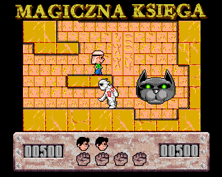 Magiczna Księga (Amiga) screenshot: Big cat