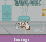 Barbie: Pet Rescue (Game Boy Color) screenshot: Putting a bandage on the owl