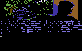 Fahrenheit 451 (Commodore 64) screenshot: Beginning the game