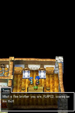 Dragon Quest VI: Realms of Revelation (Nintendo DS) screenshot: Later