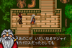 Magi Nation (Game Boy Advance) screenshot: The hero overheard a speech.