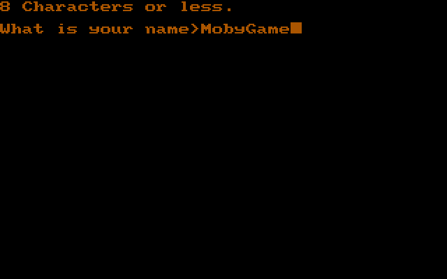 Dismal Passages (DOS) screenshot: Starting the game requires entering a name for your character