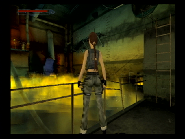 Lara Croft: Tomb Raider - The Angel of Darkness (PlayStation 2) screenshot: Uh oh, I lit some stuff on fire...now what?