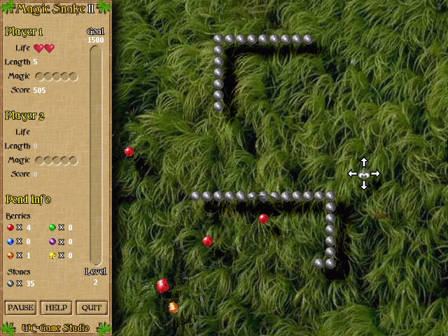 Magic Snake II (Windows) screenshot: Begin Level 2 - decide which way you snake will move...