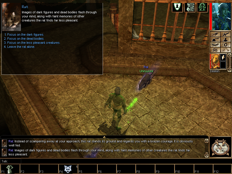Neverwinter Nights: Hordes of the Underdark (Windows) screenshot: Druids can talk to animals such as this rat