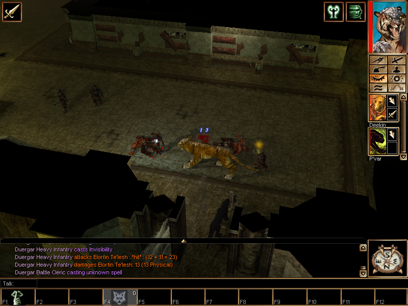 Neverwinter Nights: Hordes of the Underdark (Windows) screenshot: Fighting while shapeshifted into a Dire Tiger and with my panther companion at my side