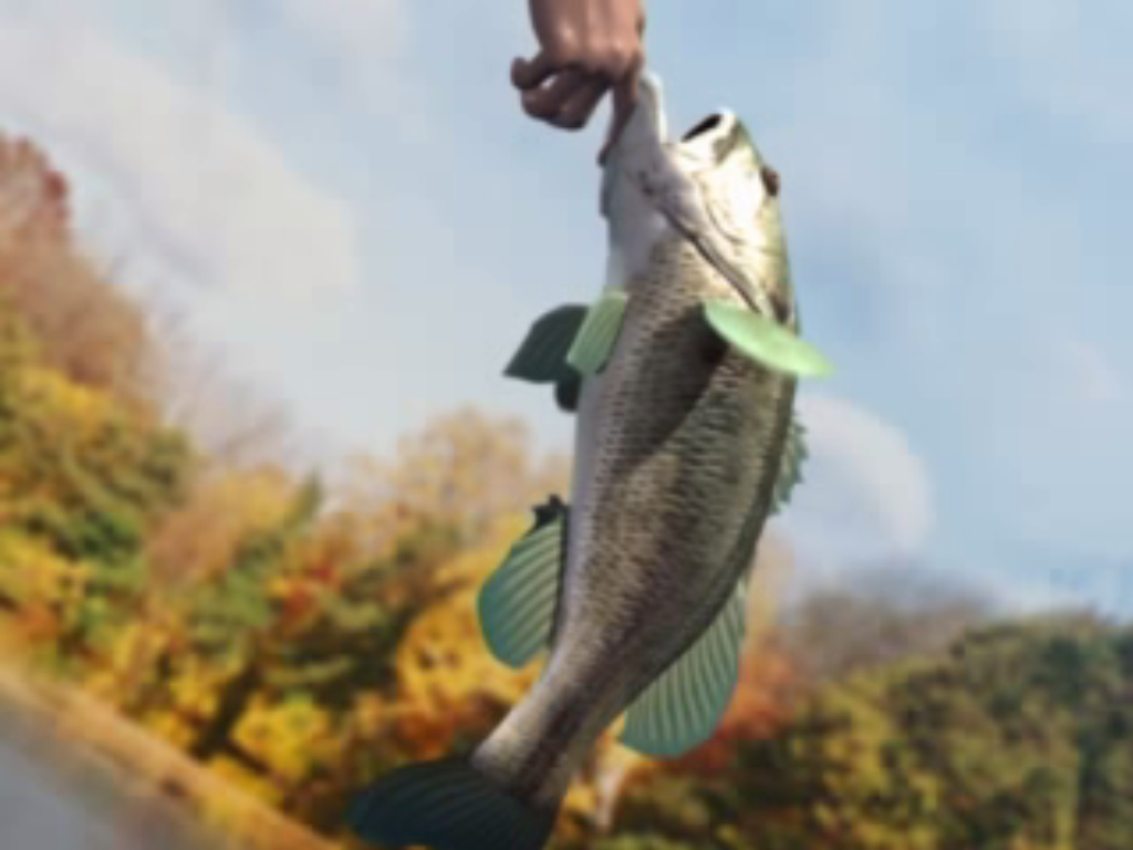 Rapala Pro Fishing (Windows) screenshot: Intro video - That's a nice bass!