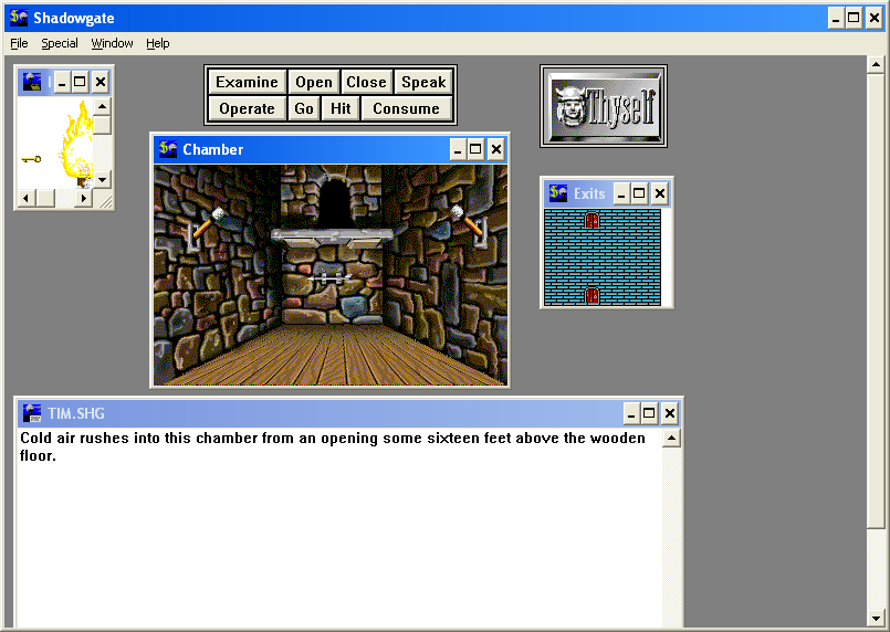 Shadowgate (Windows 3.x) screenshot: Wonder if I can get up there?
