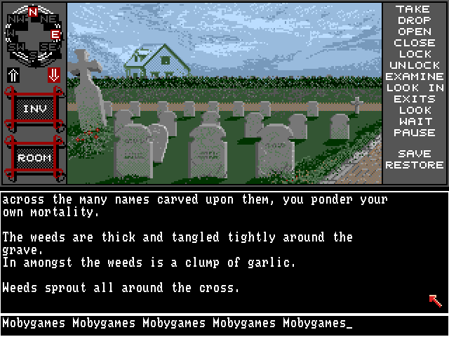 ...A Personal Nightmare (Amiga) screenshot: Cemetery