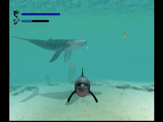 uitbreiden hoed Momentum Screenshot of Ecco the Dolphin: Defender of the Future (Dreamcast, 2000) -  MobyGames