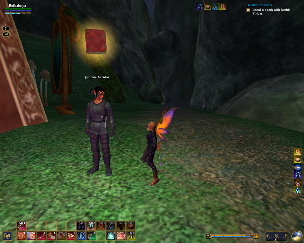 EverQuest II: Echoes of Faydwer (Windows) screenshot: Why are you so big? And why do you've such huge ears?