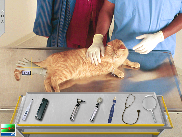 Vet Emergency 2 (Windows) screenshot: This poor cat's been washed with dish soap.