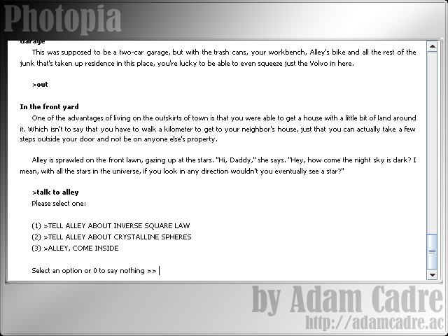 Photopia (Browser) screenshot: Conversation choices