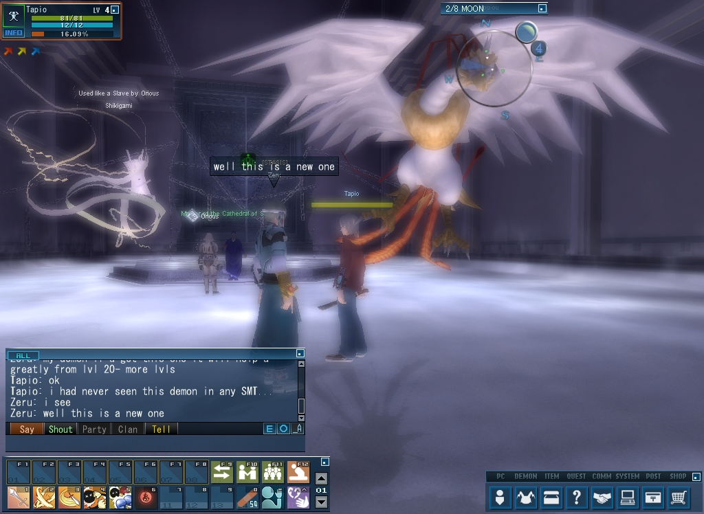 Megami Tensei Online: Imagine (Windows) screenshot: A little conversation with a more experimented player.
