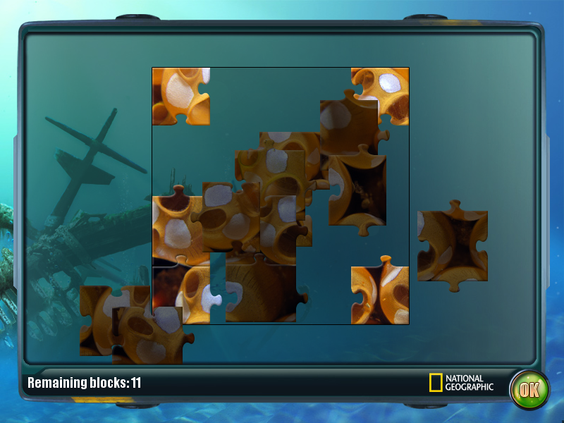 Nat Geo Adventure: Ghost Fleet (Windows) screenshot: Jigsaw puzzle