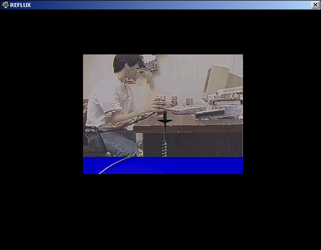 Reflux: Issue.01 - "The Becoming" (Windows 3.x) screenshot: Intro video / computer animation