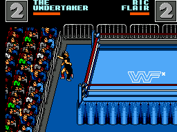 WWF Wrestlemania: Steel Cage Challenge (SEGA Master System) screenshot: A bit of fighting outside of the ring. There is a 10 second limit outside before losing.