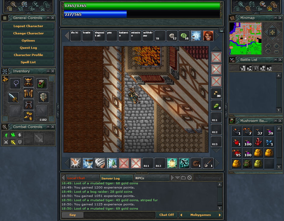 Tibia (Browser) screenshot: On the streets of Thais, Tibia's largest city.