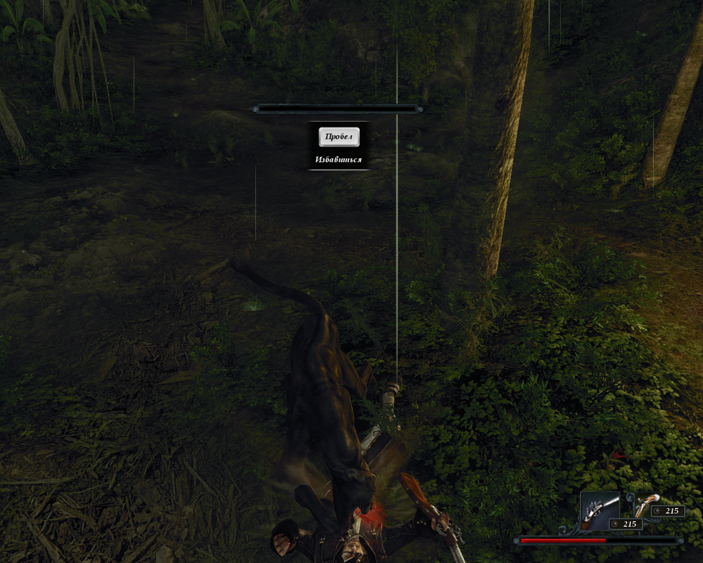 Risen 2: Dark Waters (Windows) screenshot: Tap a button quickly to release yourself from a panther