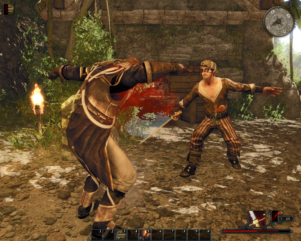 Risen 2: Dark Waters (Windows) screenshot: Some finishing moves are shown in slow motion