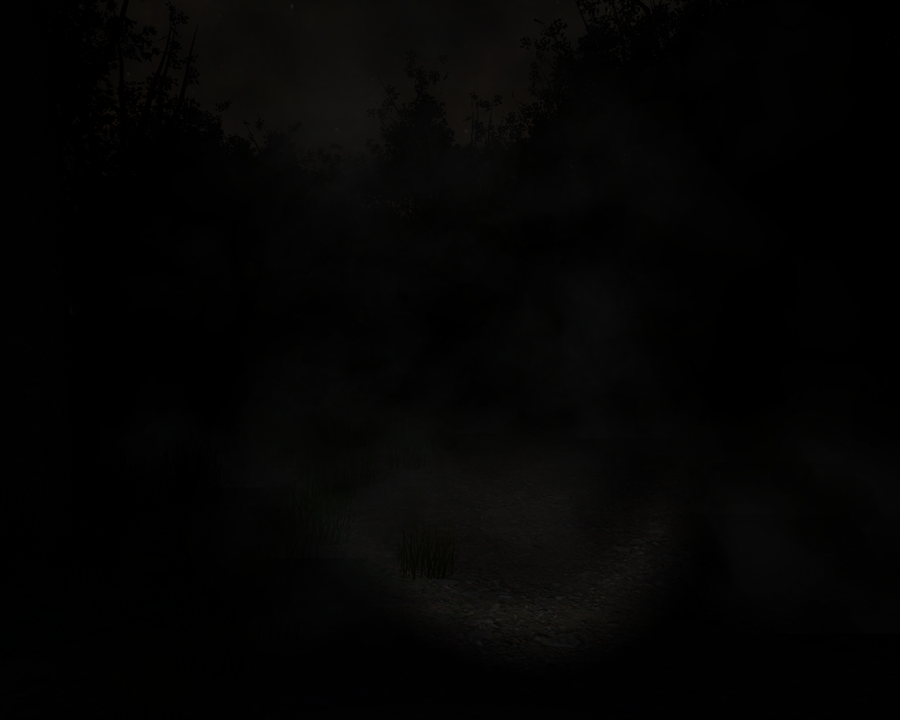 Slender: The Eight Pages (Windows) screenshot: As you collect more pages the fog severely reduces the visibility