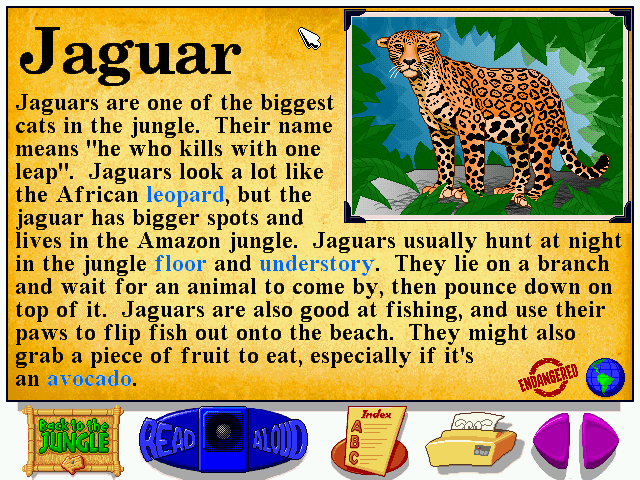 Let's Explore the Jungle (Windows) screenshot: Of all the cats, the jaguar looks best in its encyclopedia page (my favorite, the tiger, didn't look too cute).