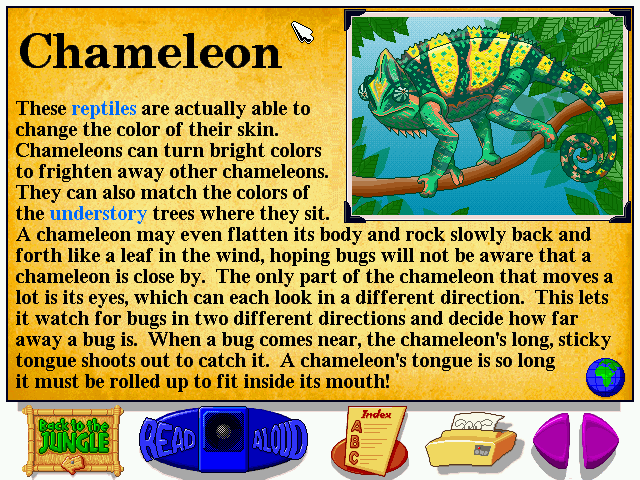 Let's Explore the Jungle (Windows) screenshot: A very colorful image of the chameleon.