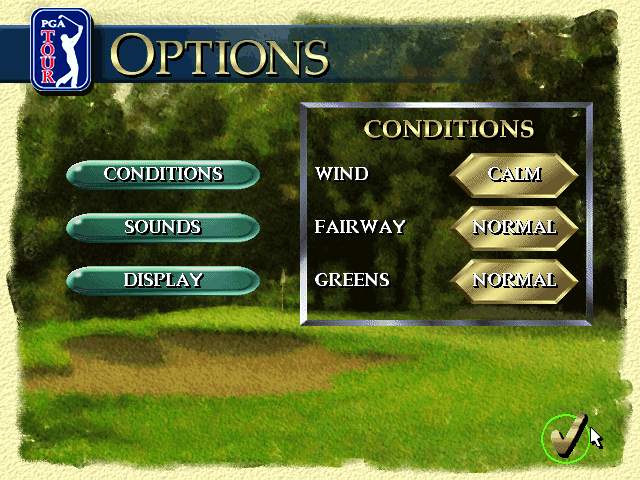 PGA Tour 96 (DOS) screenshot: Game options