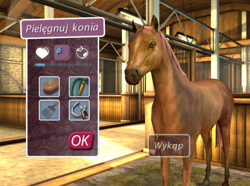 My Horse & Me: Riding for Gold (Windows) screenshot: Cleaning a horse