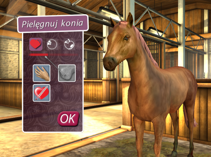 My Horse & Me: Riding for Gold (Windows) screenshot: Horse care