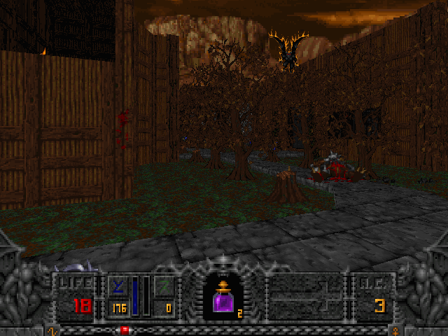 Deathkings of the Dark Citadel (Windows) screenshot: A village