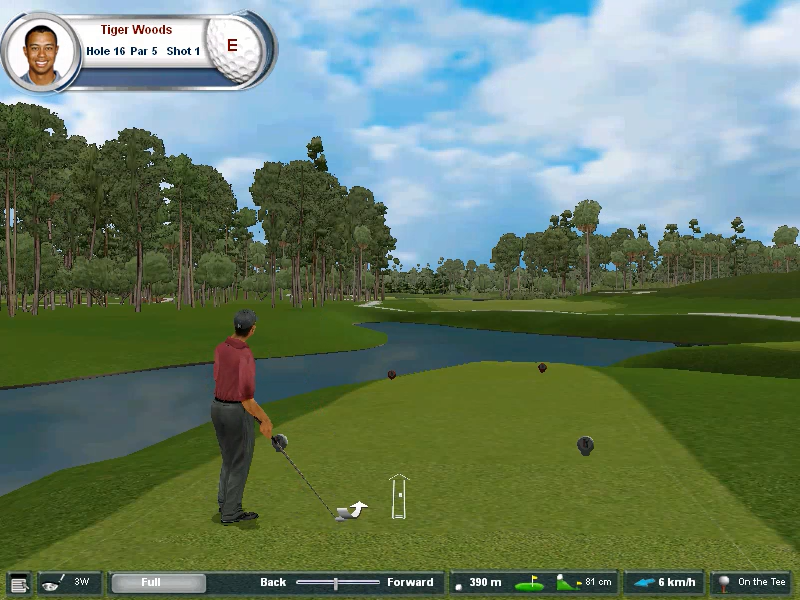 Tiger Woods PGA Tour 2002 (Windows) screenshot: Here's the hole 16