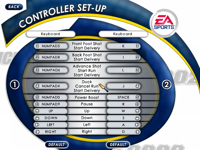 Cricket 2002 (Windows) screenshot: Define controls