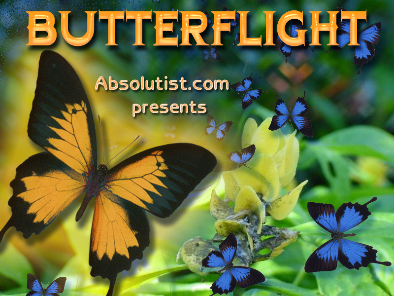 ButterFlight (Linux) screenshot: Loading and title screen