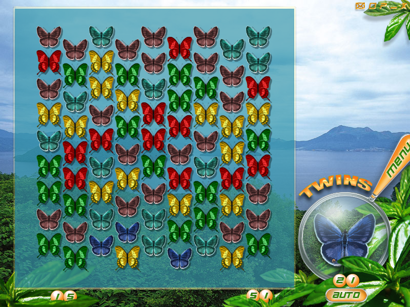 ButterFlight (Linux) screenshot: Twins is like Pairs except the side-to-side swaps are at angles.