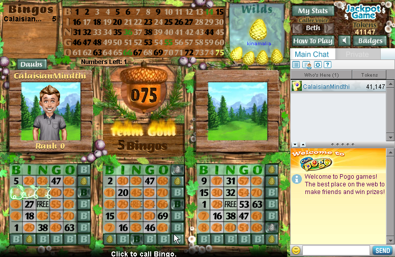 Screenshot of Everyone Wins Bingo (Browser, 2008) MobyGames