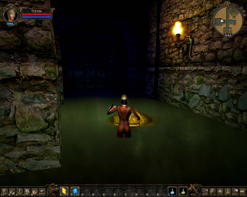 Dungeon Lords MMXII (Windows) screenshot: Fighting slimes in sewers. Classic. Even with the brightness cranked up, this version is noticeably darker