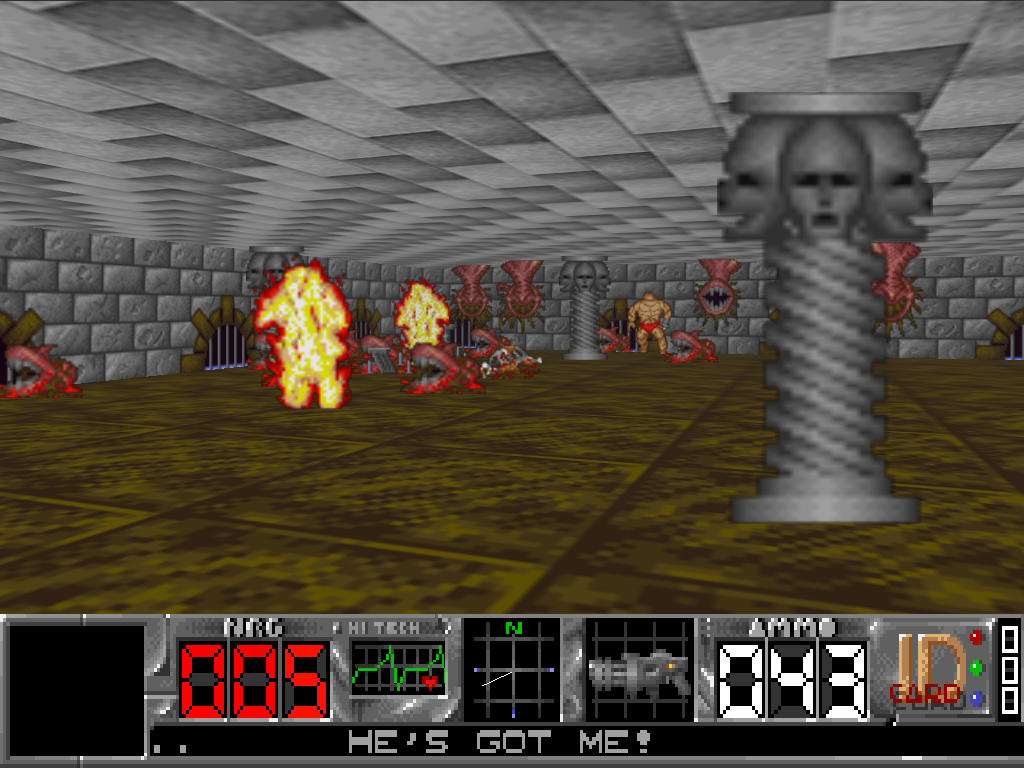 Cytadela (Windows) screenshot: Hordes of enemies