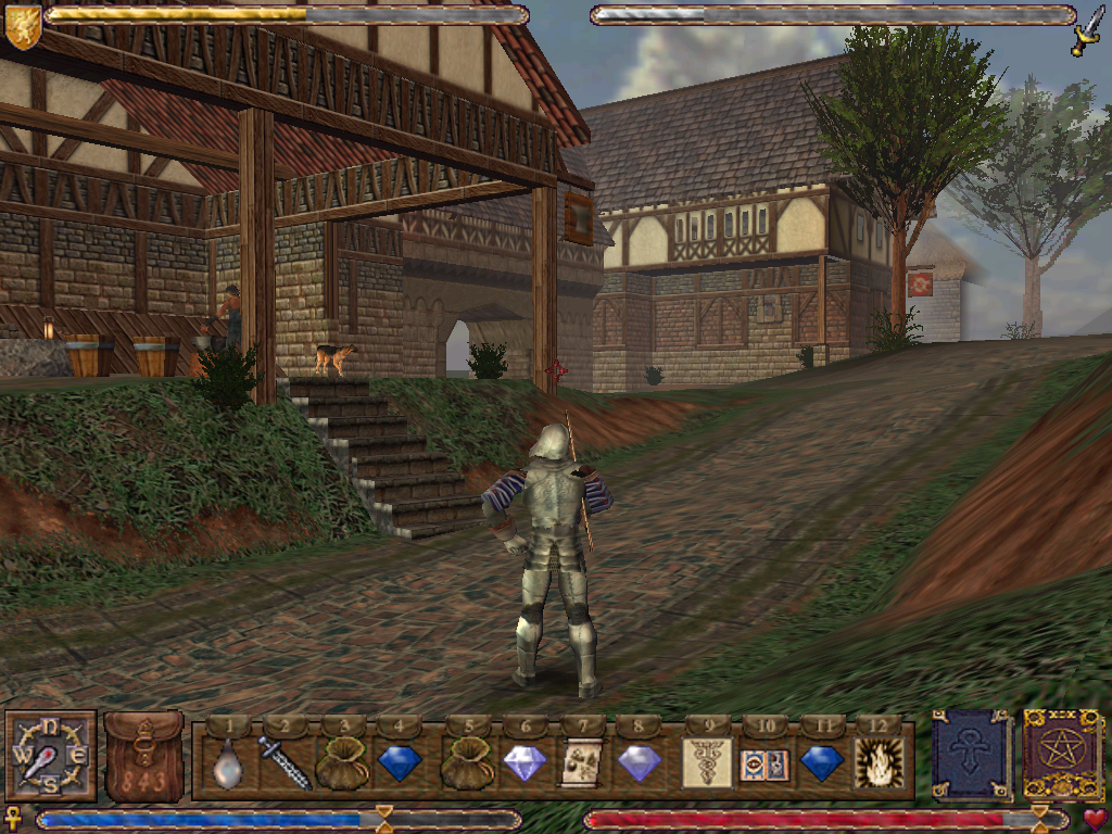 Ultima IX: Ascension (Windows) screenshot: Just a regular day in the capital city. Note the blacksmith and his dog