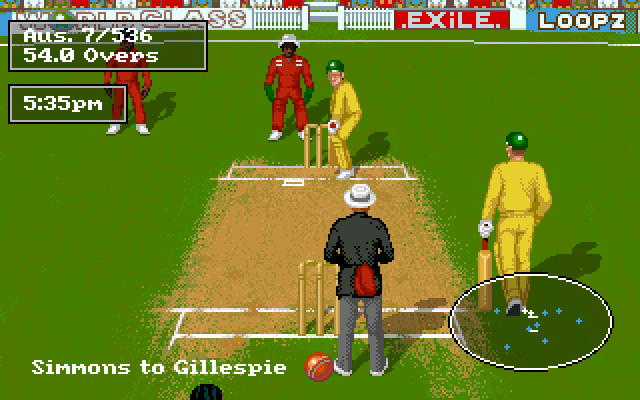 Allan Border's Cricket (DOS) screenshot: About to take a shot