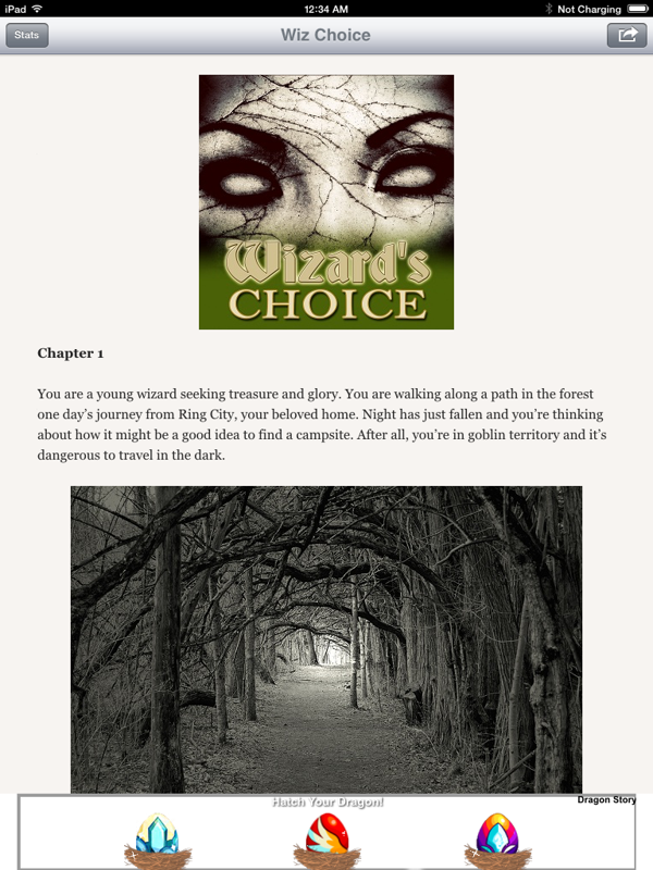 Wizard's Choice: Volume 1 (iPad) screenshot: You are walking through some goblin-infested woods