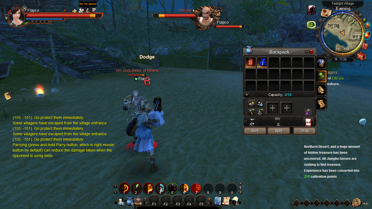 Age of Wulin (Windows) screenshot: The leader