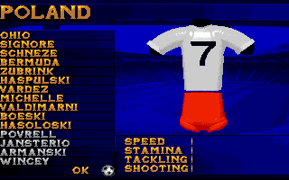 Screenshot of Soccer Superstars (Amiga, 1995) - MobyGames