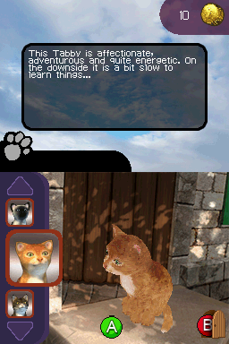 Paws & Claws: Best Friends - Dogs & Cats (Nintendo DS) screenshot: Tabby