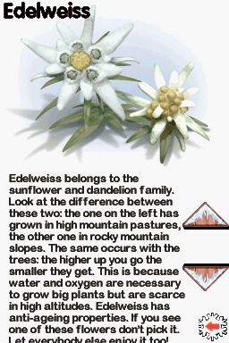 Emma in the Mountains (Nintendo DS) screenshot: Edelweiss