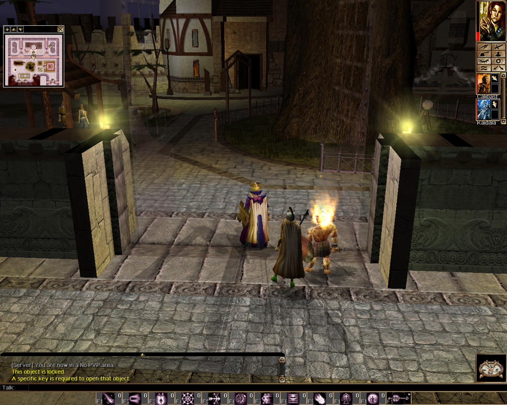 Neverwinter Nights: Kingmaker (Windows) screenshot: Kingmaker: The viewing angle is left like that after cutscenes.