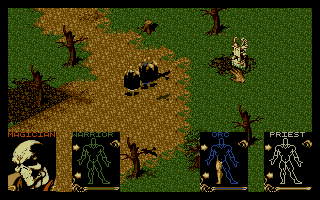 Shadowlands (Amiga) screenshot: Starting a new game. My magician has already been killed by birds.