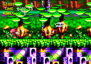 Knuckles' Chaotix (SEGA 32X) screenshot: Mighty and Knuckles