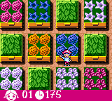 Laura (Game Boy Color) screenshot: Level finished