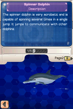 Petz: Dolphinz Encounter (Nintendo DS) screenshot: Spinner Dolphin